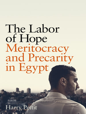 cover image of The Labor of Hope